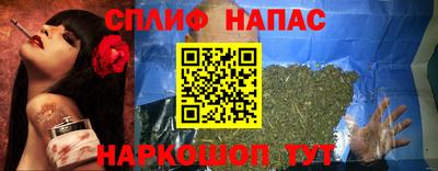 индика Ирбит