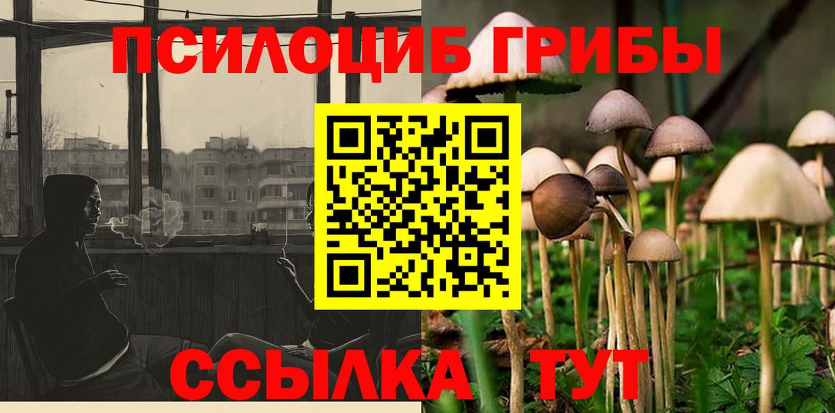 Псилоцибиновые грибы мухоморы Азов